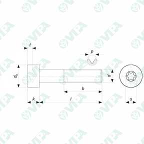 ISO 14579 Torxschrauben mit Zylinderkopf